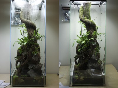 Bilden till vänster är tagen 25januari, den högra är tagen idag 16feb.