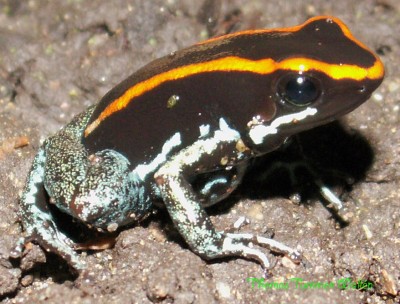 PICT0023-1.jpg