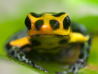 Ett sött litet ansikte.