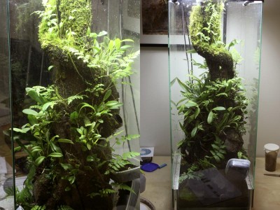 Nu börjar de bli knökfullt.