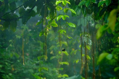 regn02.jpg