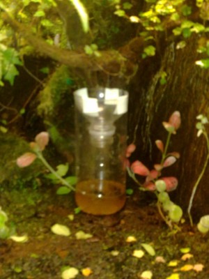 20110918040.jpg