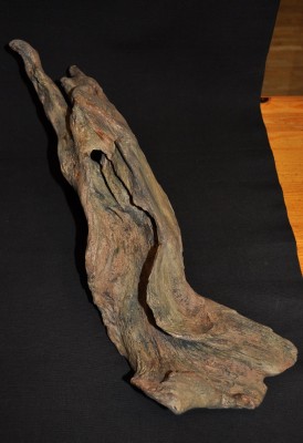 DSC_0432.JPG