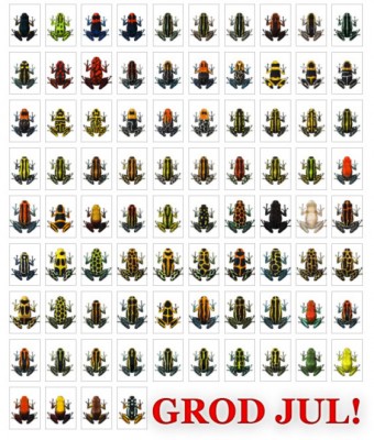 Smygtitt på illustrationer över alla Ranitomeya arterna och färgvariationer.