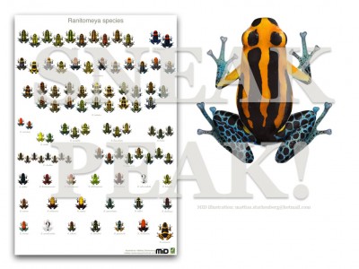 En första Sneak peak!