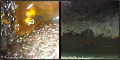 lägstanivån är nådd, eller vad säger du Dennis? :)