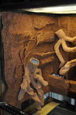 DSC_1901.JPG
