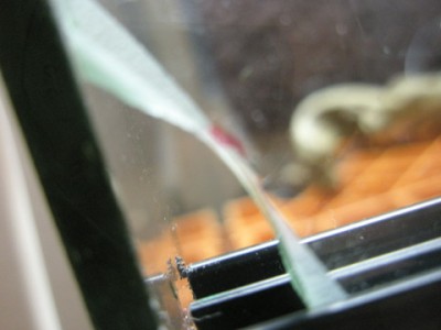 Behövde göra ett litet hål i glaset för en sladd, då jag inte ville borra på sidan så fick jag gå till glasmästar'n och fixa ett litet hål..Ni ser ju hur det blev..:)