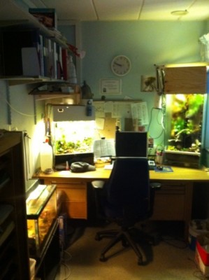 ImageUploadedByTapatalk1329759926.949993.jpg