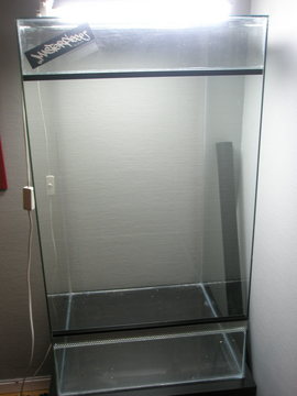 Terrariet då, rätt och slätt