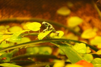 2012-03-08 2012-03-09 001 001.jpg