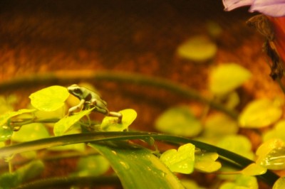 2012-03-08 2012-03-09 001 003.jpg