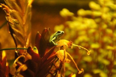 2012-03-08 2012-03-09 001 004.jpg