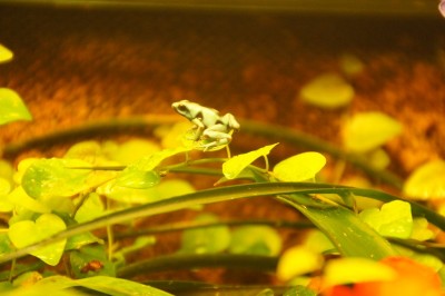 2012-03-08 2012-03-09 001 006.jpg