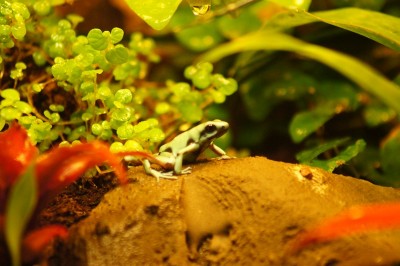 2012-03-09 2012-03-09 001 003.jpg