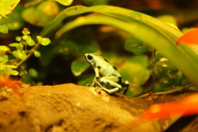 2012-03-09 2012-03-09 001 007.jpg