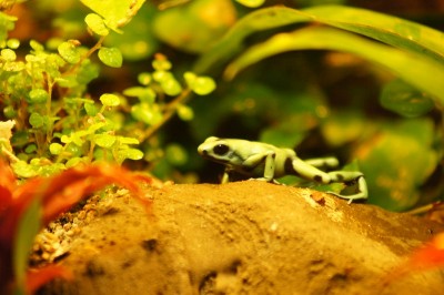 2012-03-09 2012-03-09 001 008.jpg