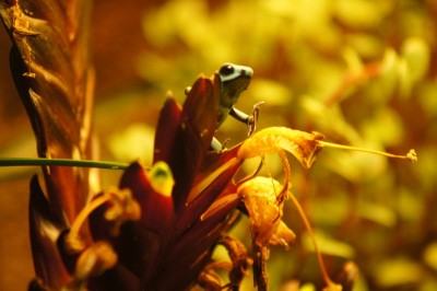 2012-03-09 2012-03-09 001 014.jpg