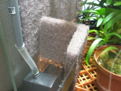 "huset" utan tak, föreställ er att det ska vara bottenmaterial åtminstone en bit upp på bakgrunden