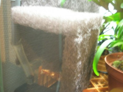 med tak, taskig bild dock