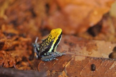 _DSC1155 (640x425) (540x359).jpg