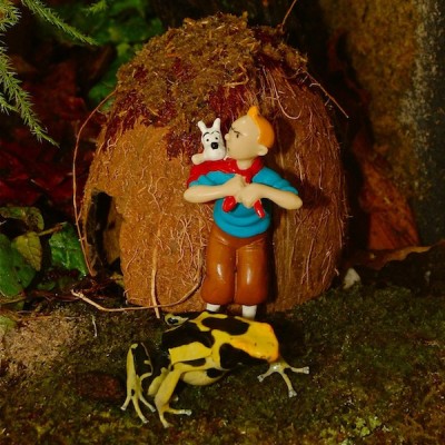 Tintin å Baberuth.jpg