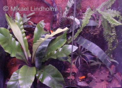 Och nu 1 1/2 år senare...