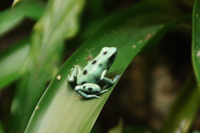 2012-03-26 2012-04-04 001 006.jpg