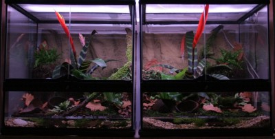 Så här såg terrarierna ut som nya... Hösten 2007