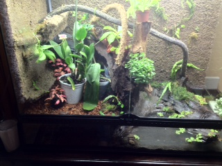vivarium.JPG