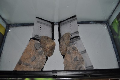 DSC_0374.JPG