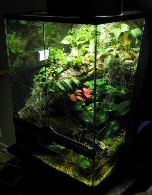 exoterra5l.JPG