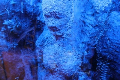 men vad är DEET då?