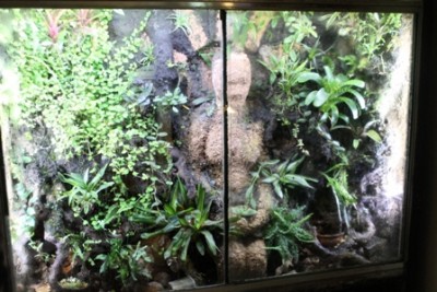 nu i morgon och kvällsljus!