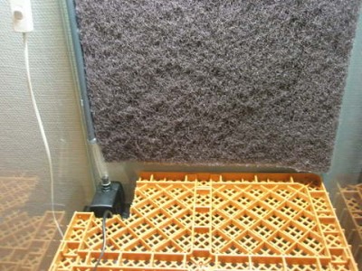 Med IIS-bakgrunden fastlimmad, och början på en falskbotten börjar visa sig