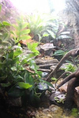 man ser in från två sidor.