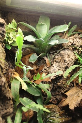 basslerariet web.jpg