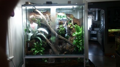 DSC_0204 (800x450).jpg