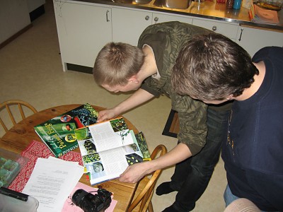 pny_6718b800.jpg