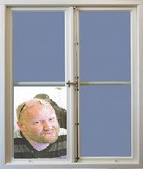 Fönsterfikus.JPG