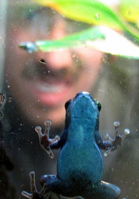 Pumiliostrupe &amp; Jag