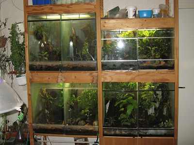 pny_6719b800.jpg