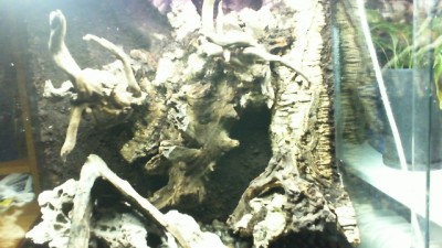 2013-02-22 22-44-53.925.jpg