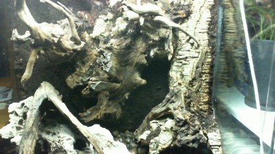 2013-02-22 22-45-14.401.jpg