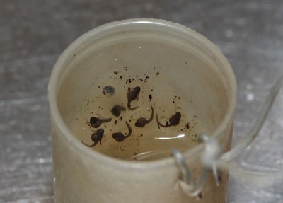pny_40d2718b800.jpg