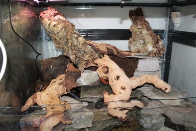 webfoot.jpg (193.24 KiB) Visad 6661 gånger börjar hitta sig