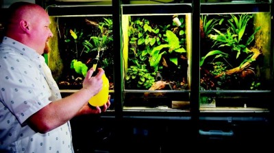 ImageUploadedByTapatalk HD1367227780.113503.jpg