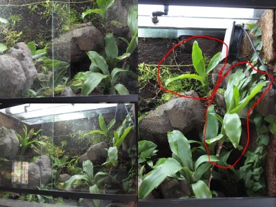 De rödmarkerade skymmer för mycket