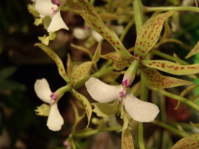 P4140641 (720x540).jpg