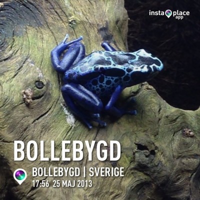 ImageUploadedByTapatalk 21369497561.263906.jpg